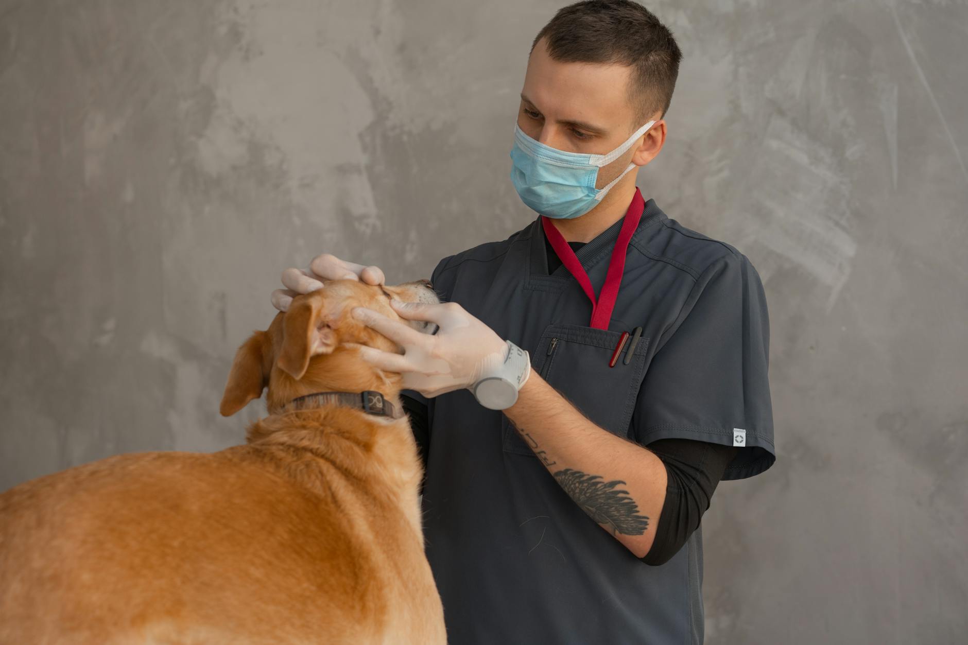 CARDINAL VETERINARY