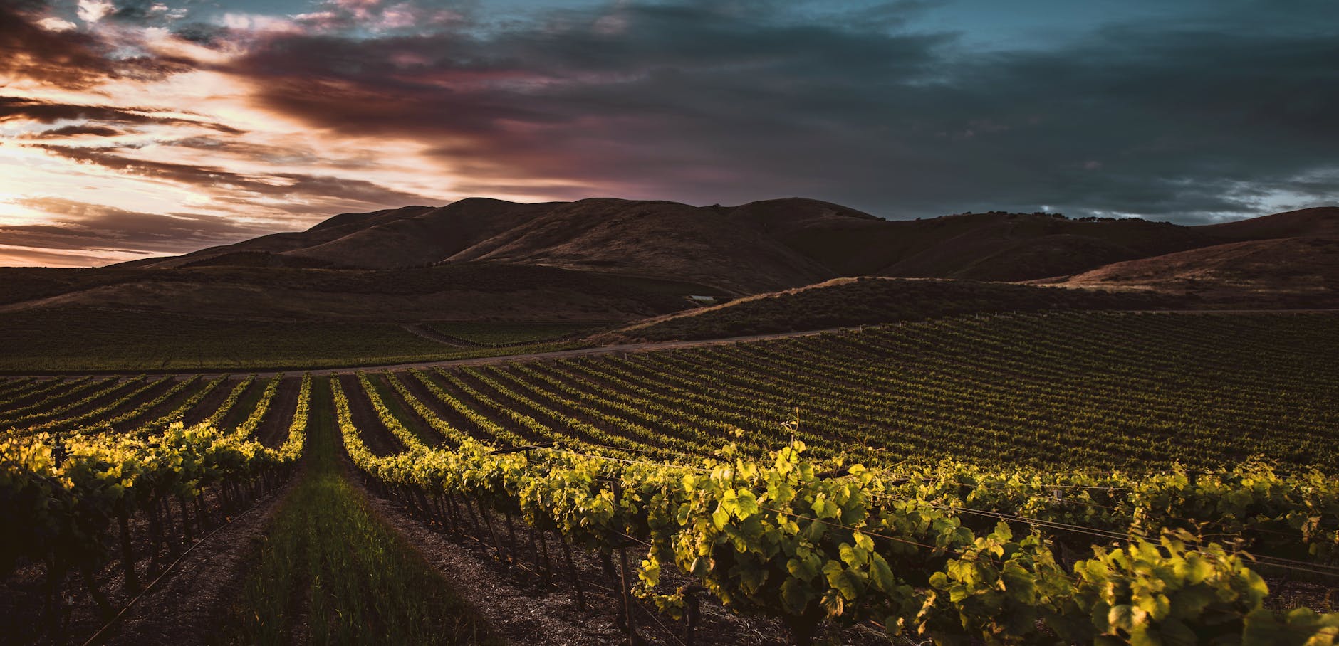 STILLWATER VINEYARDS